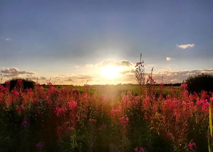 Grosses Mit Boot Feriehus *